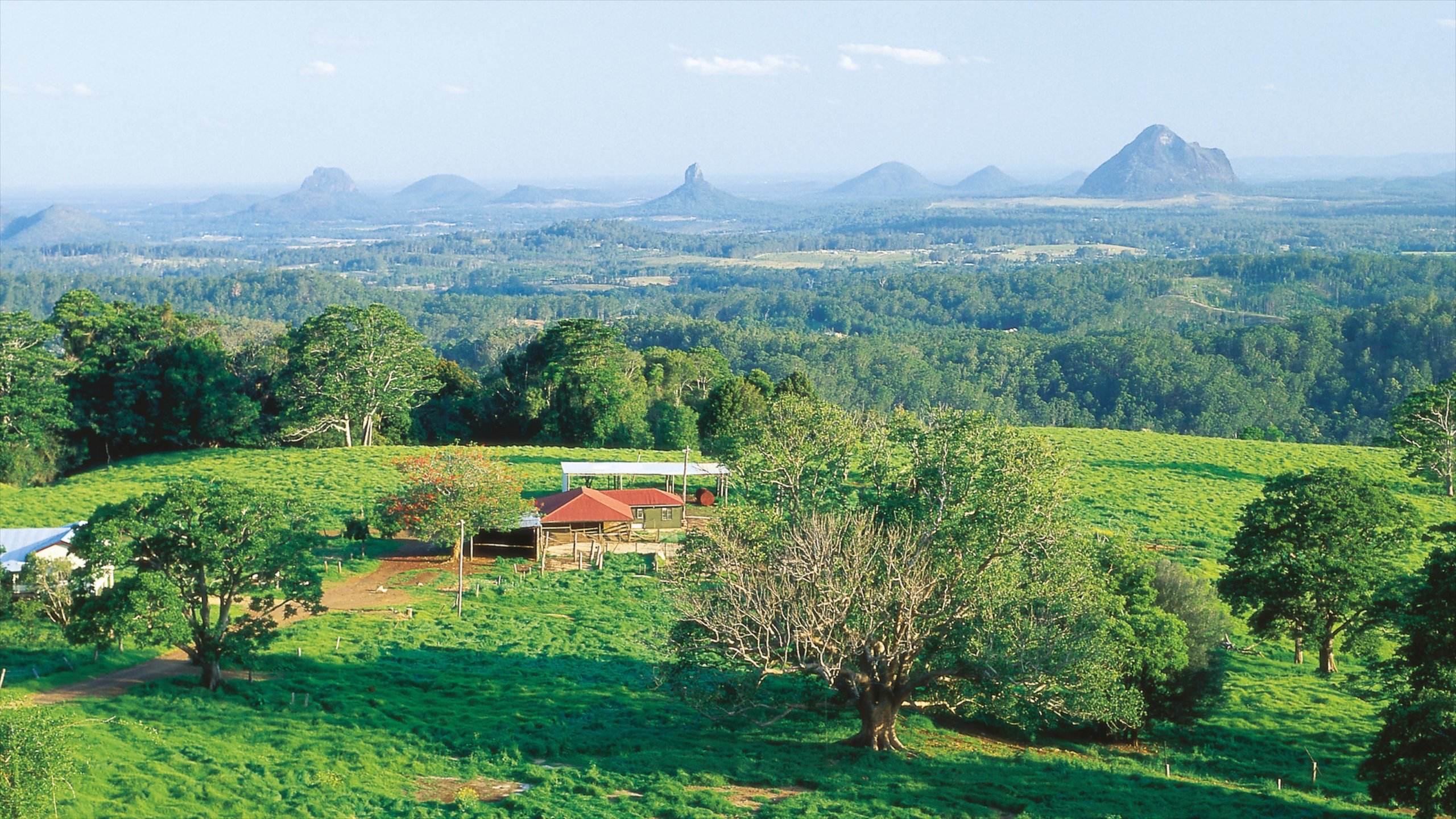 Maleny